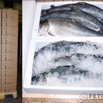 Customs clearance of fish products for export to China at the Zarubino port and Kraskono port